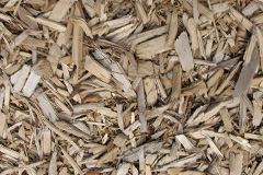 biomass boilers Llanfor