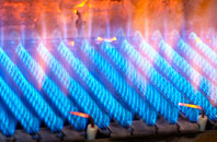 Llanfor gas fired boilers